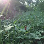Farma Altobello
