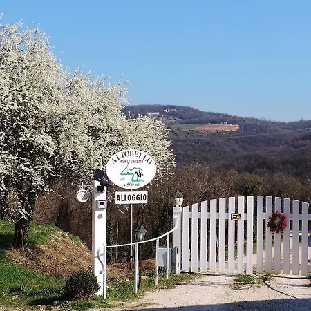 Farm stay Altobello *